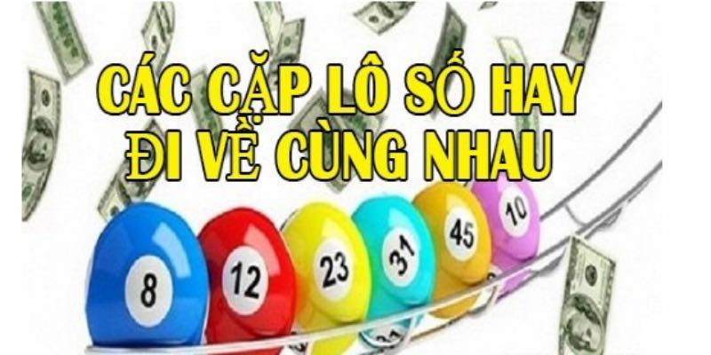 Các Cặp Lô Hay Đi Cùng Nhau - Nhận Biết Cực Dễ Dàng 2024