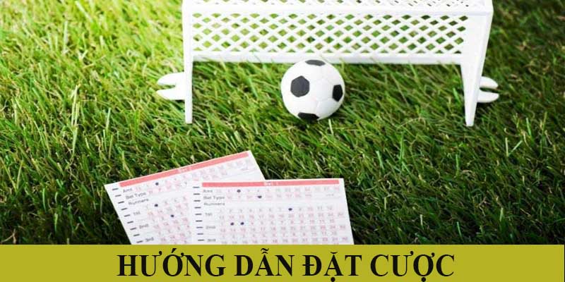 Hướng dẫn đặt cược kèo rung có tỷ lệ thắng cao